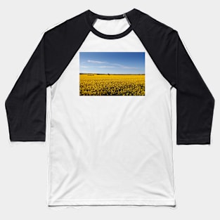 Rural sea of Canola Baseball T-Shirt